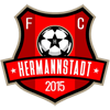 FC Hermannstadt