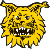 Ilves