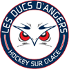 Angers Ducs