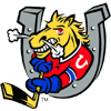 Barrie Colts