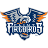 Flint Firebirds