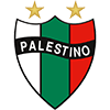 CD Palestino