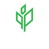 Sprout