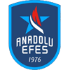 Anadolu Efes SK