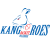 Kangoeroes Basket Mechelen