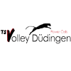 Volley Dudingen