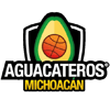 Aguacateros de Michoacan