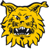 Tampereen Ilves