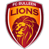 FC Bulleen Lions