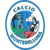 Calcio Montebelluna 1919