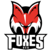 HC Bolzano Foxes