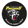 Ringerike Panthers