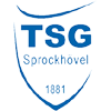 TSG 1881 Sprockhovel