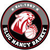 Sluc Nancy Basket