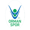 OGM Ormanspor