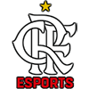 Flamengo Esports