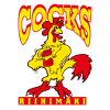 Riihimäki Cocks