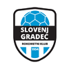 RK Slovenj Gradec 2011