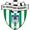 Tj Slovan Bzenec