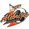 Alebrijes de Oaxaca FC
