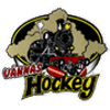 Vännäs HC
