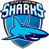 Antibes Sharks