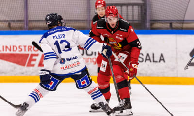 Speltips: Nytt besök i poängprotokollet för Edvin Hammarlund?