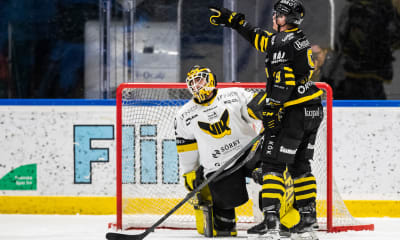 Speltips: Hawaiihockey på Hovet!