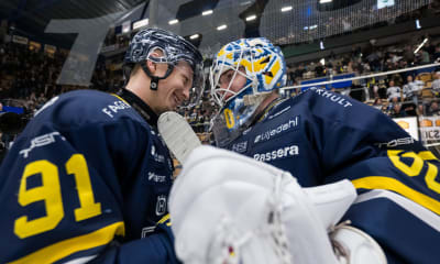 Speltips: Viktiga poäng på spel i Husqvarna Garden!