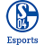 FC Schalke 04