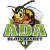 Ada Blois Basket 41