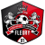 FC Fleury