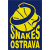 BK Snakes Ostrava