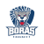 Borås HC