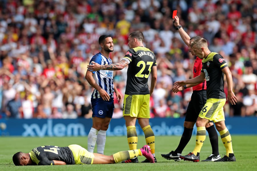 Brighton &amp; Hove Albion v Southampton FC - Premier League