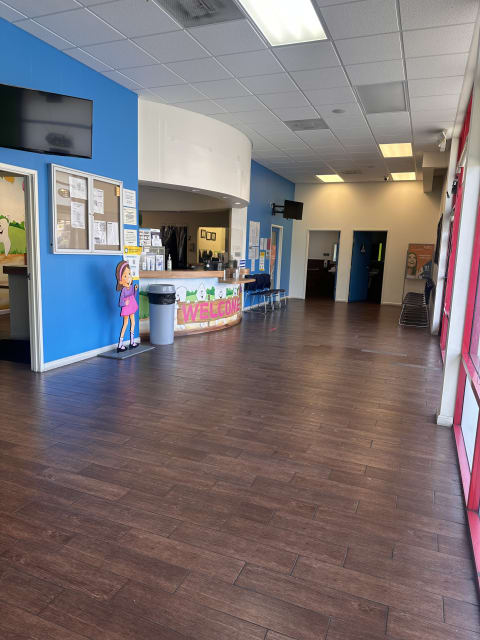 Western Dental Kids interior view 2
