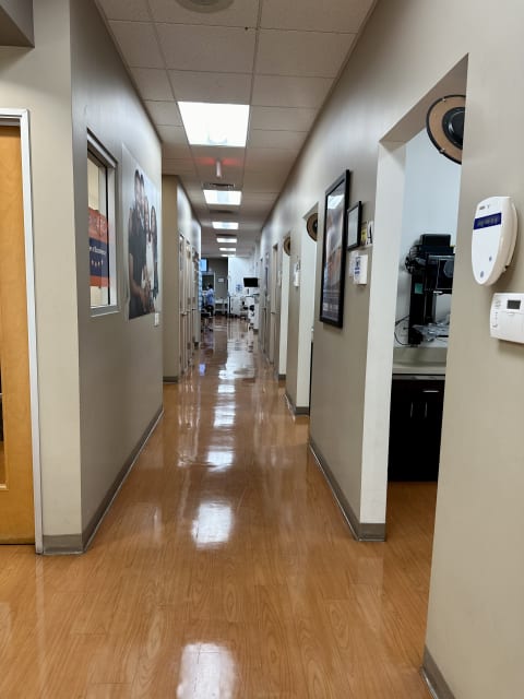 Western Dental & Orthodontics interior view 3