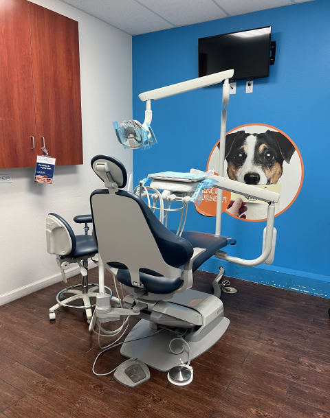 Western Dental Kids interior view 3