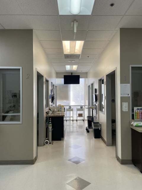Western Dental & Orthodontics interior view 3