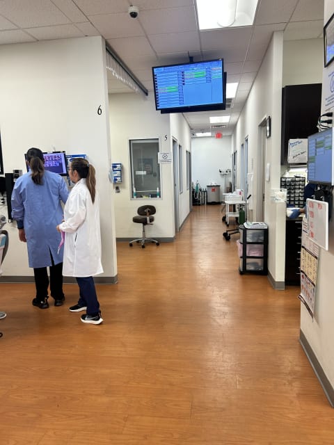 Brident Dental & Orthodontics interior view 3