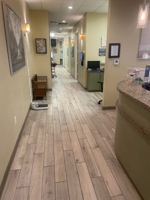 Brident Dental & Orthodontics interior view 2