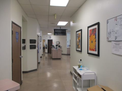 Western Dental & Orthodontics interior view 2