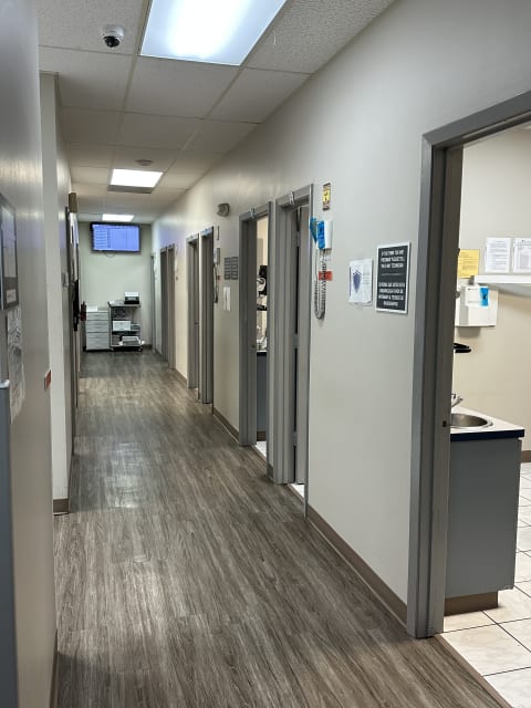 Brident Dental & Orthodontics interior view 2