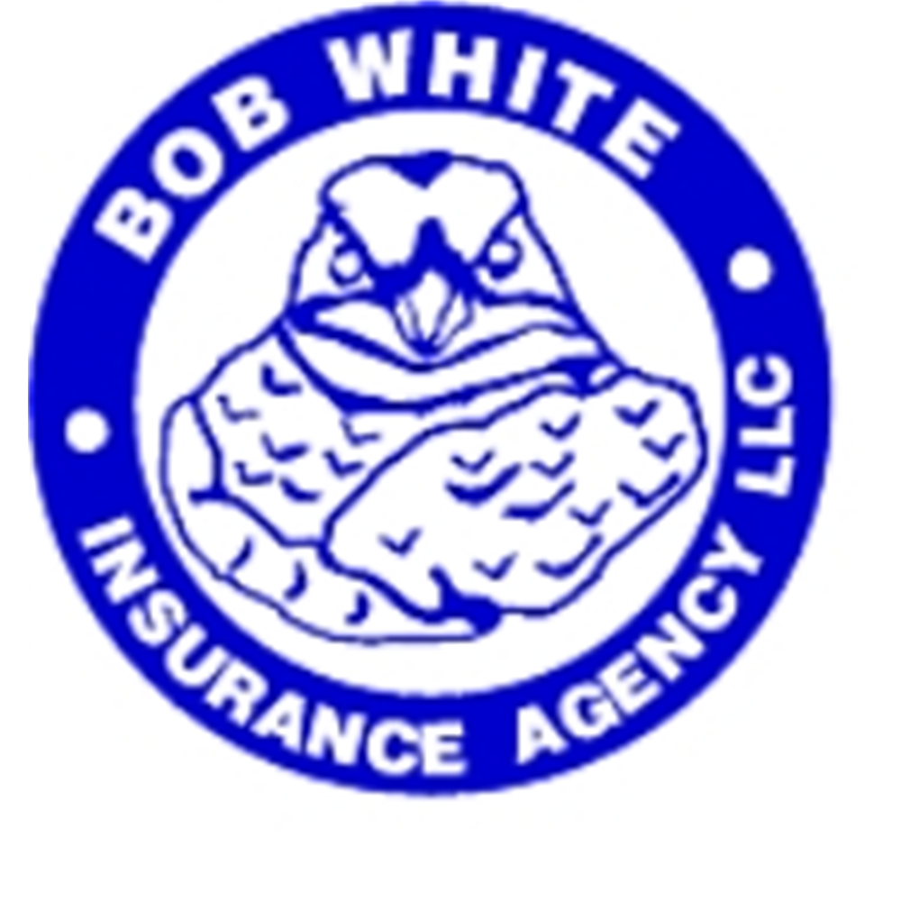 Bob White Insurance Agency LLC - Mount Vernon, IL