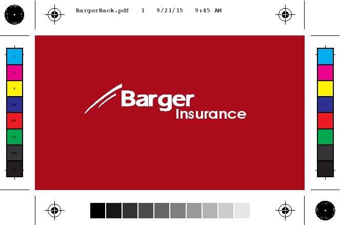 Barger Insurance Group - Kingsport, TN
