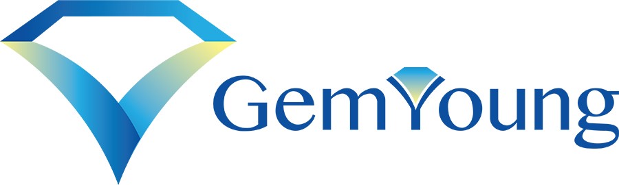 Gem Young Insurance & Financial Services Inc. - Canfield, OH