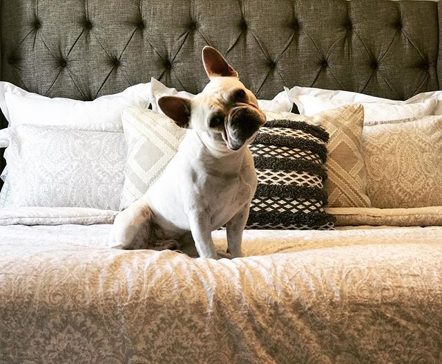 Furniture Shop in Bristol, VA Ashley Store