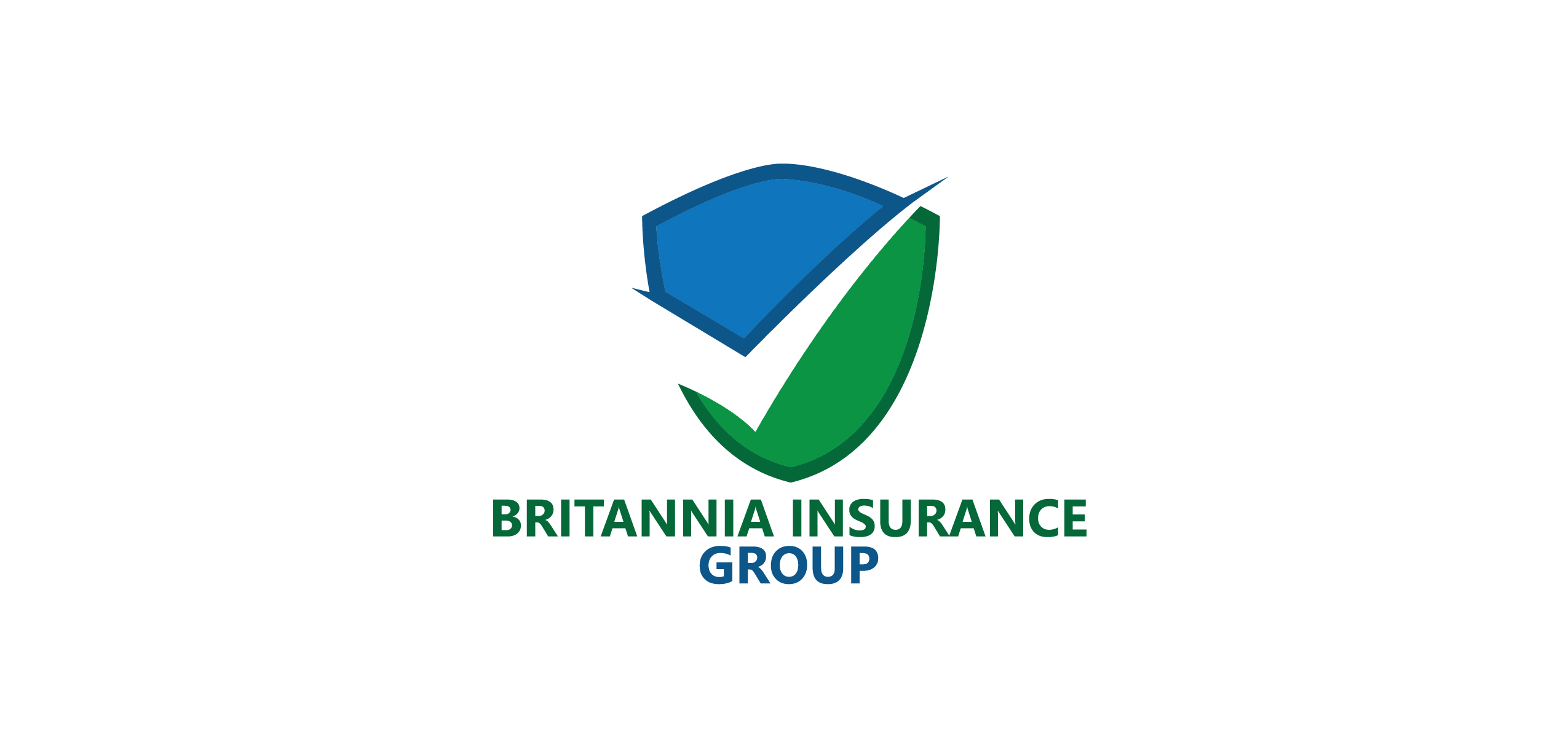 Britannia Insurance Group - Ashburn, VA