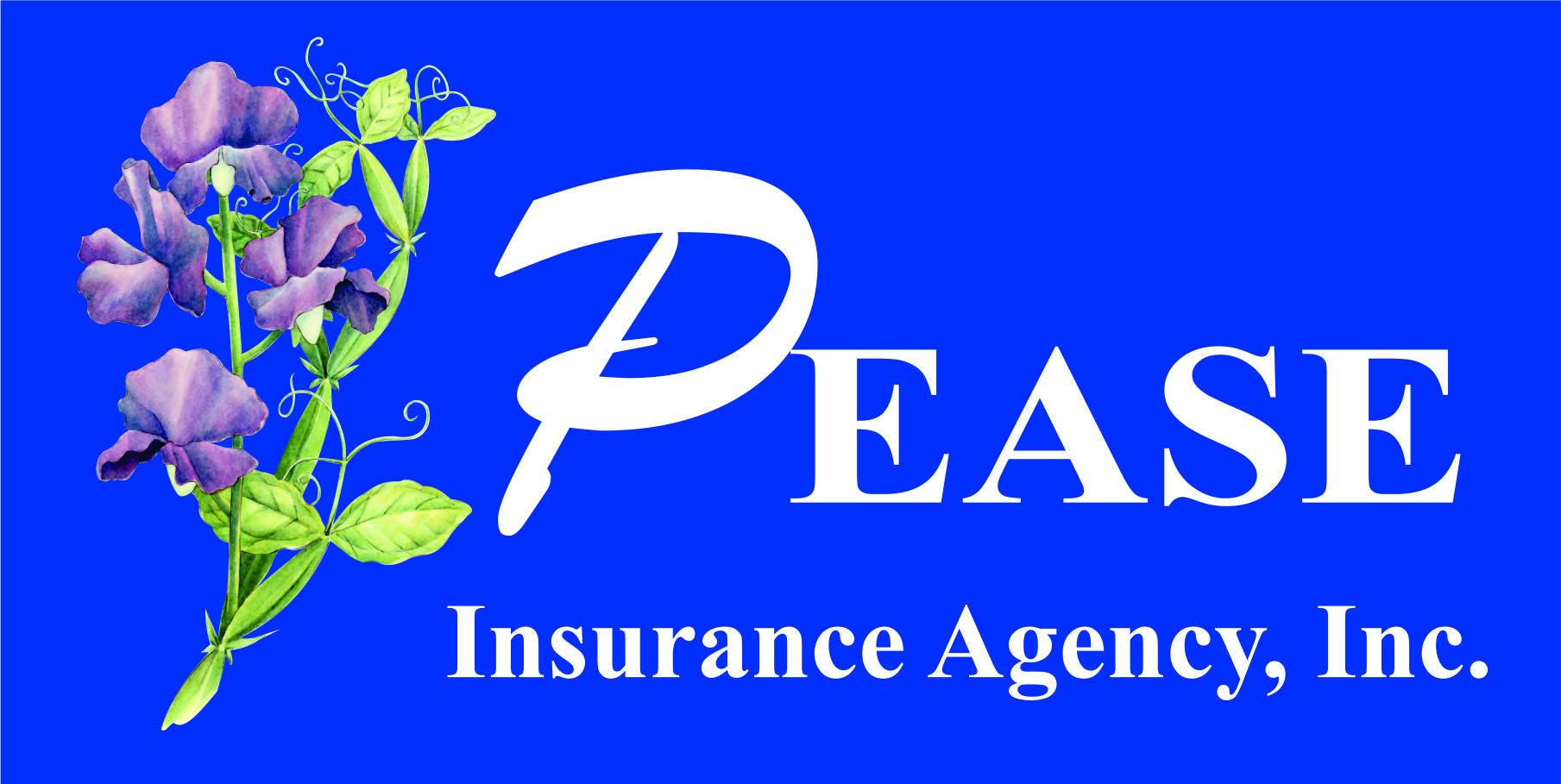 Pease Insurance Agency, Inc. - Howard City, MI