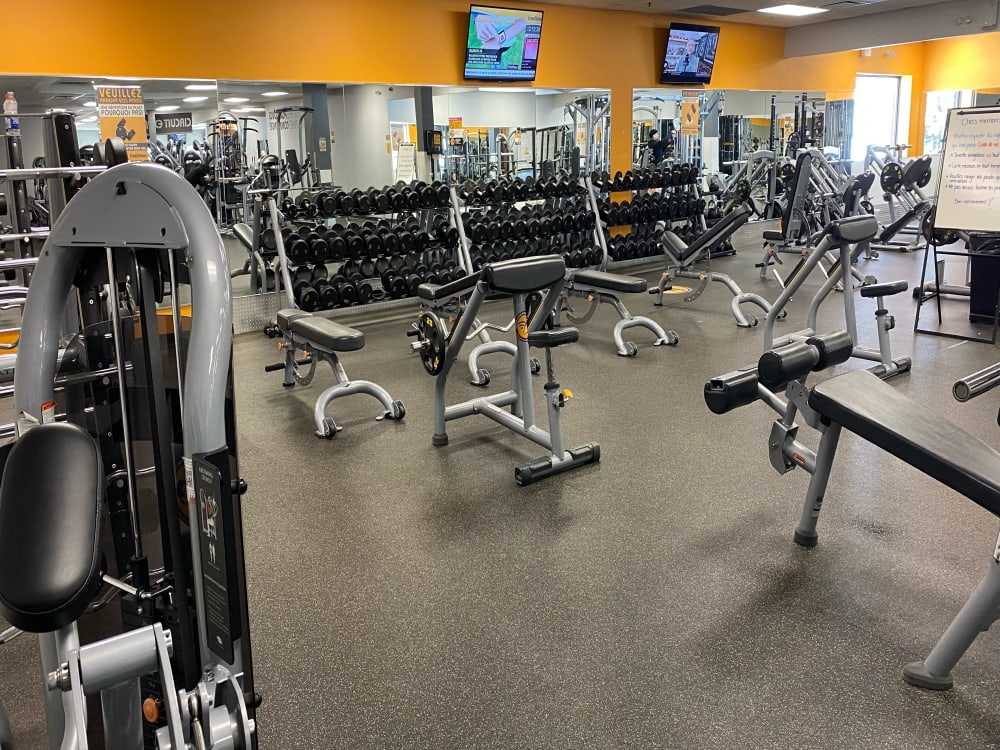 Éconofitness Montréal - Rosemont - La Petite Patrie (Beaubien) 24/7, Find  a Gym